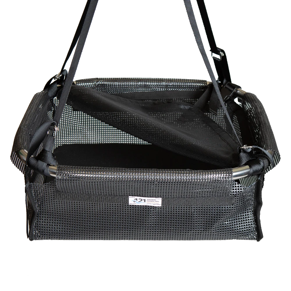 sea turtle carrier 2
