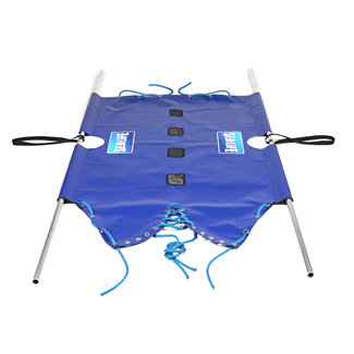 shark carrier 1