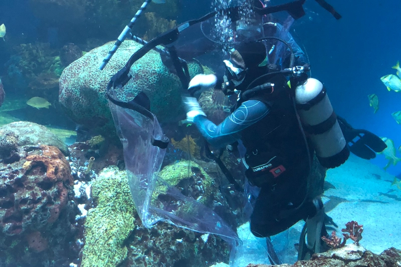 tav shark bag gallery 1