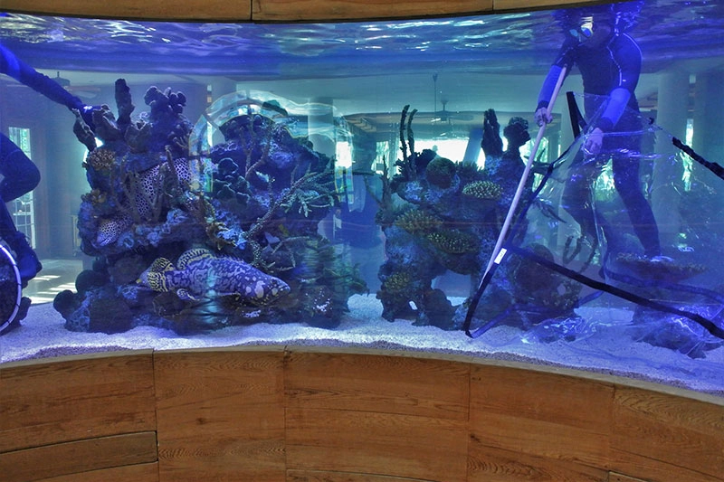 TAV shark bag gallery 7