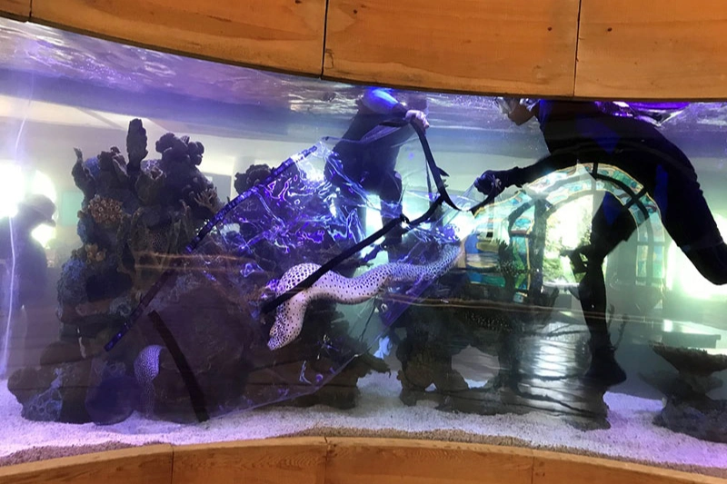 TAV shark bag gallery 8