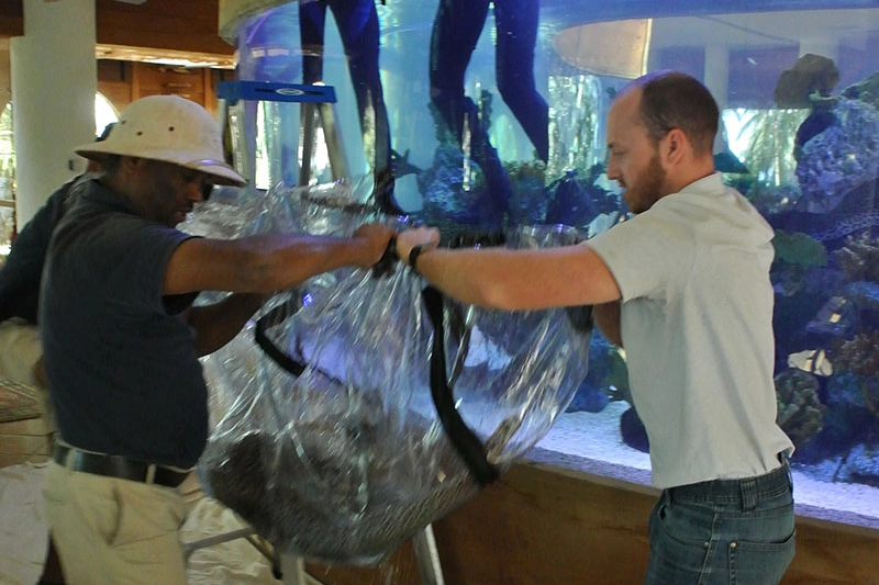 TAV shark bag gallery 9