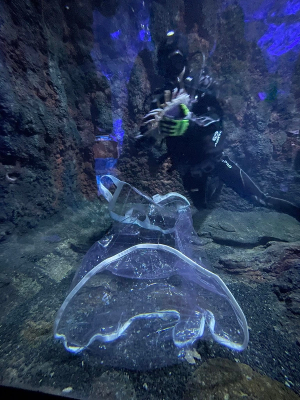 transparent fish holding bag 1