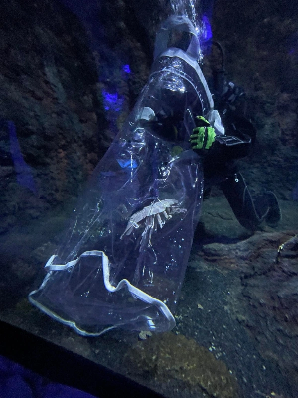 transparent fish holding bag 2