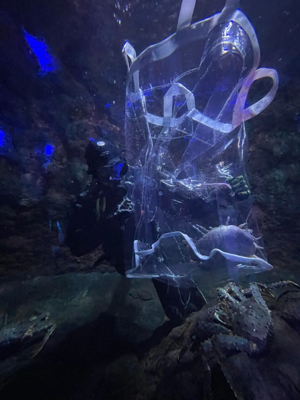 transparent fish holding bag 3