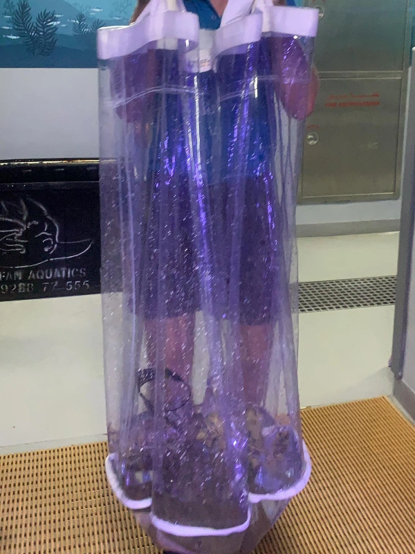 transparent fish holding bag 6