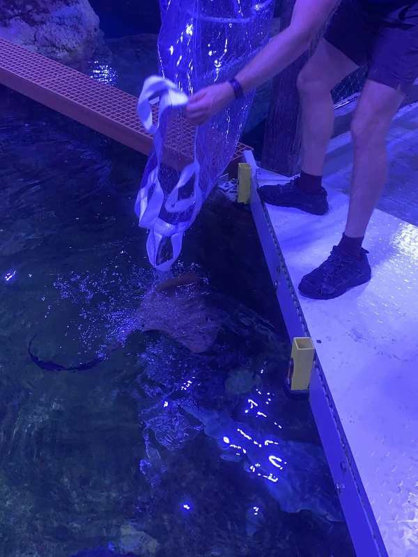 transparent fish holding bag 7