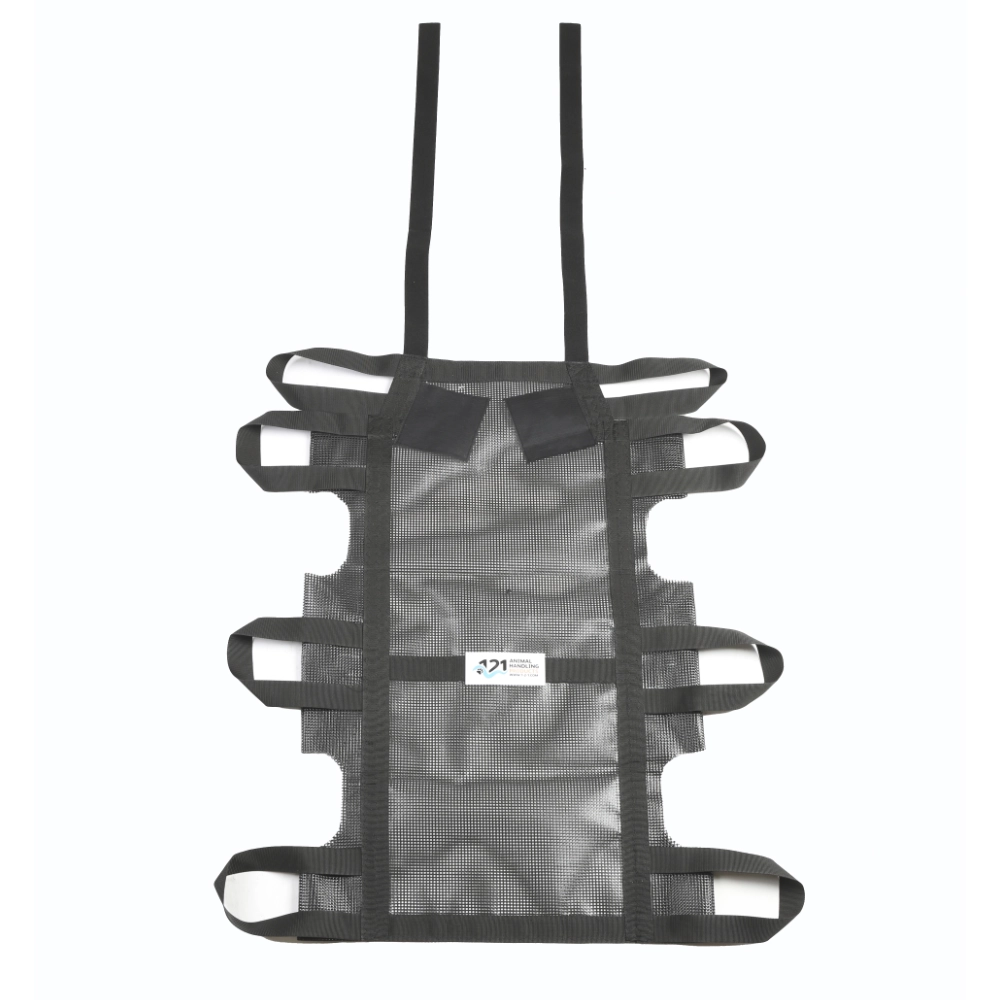 hammerhead shark carrier 2