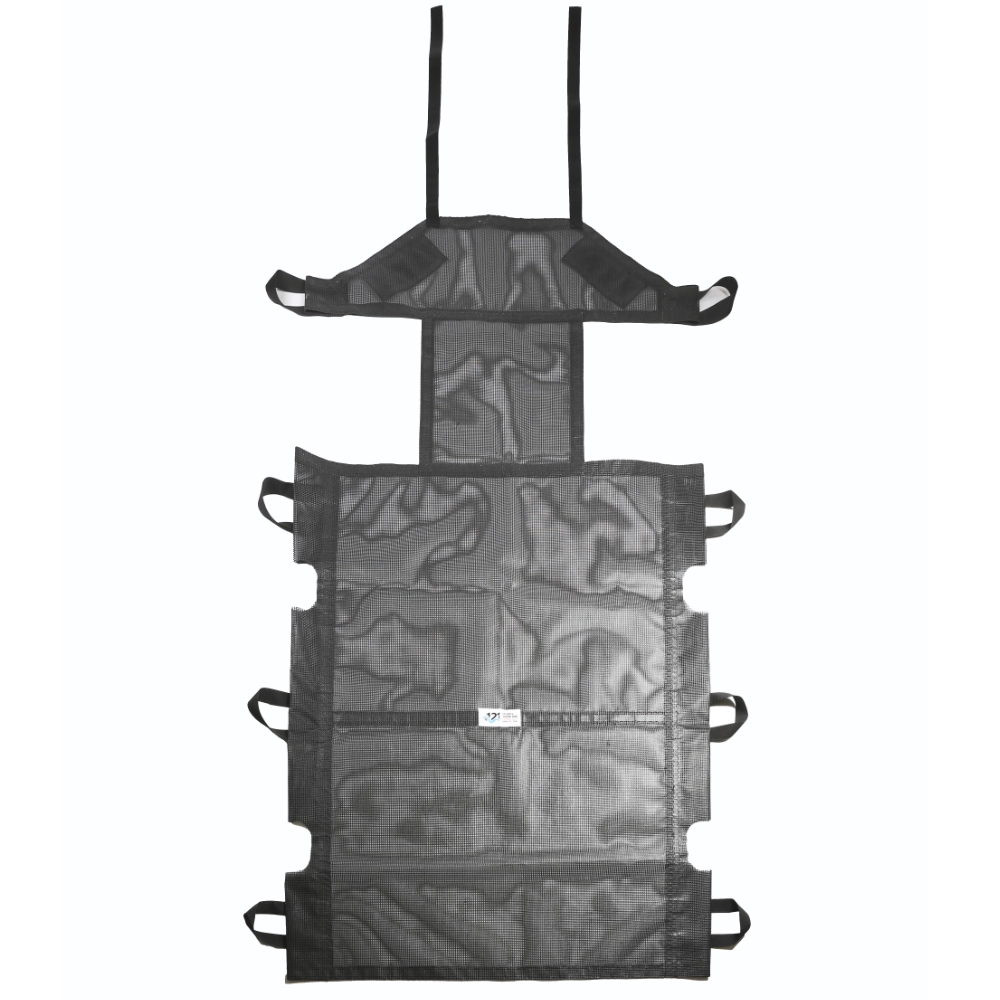 hammerhead shark carrier 4
