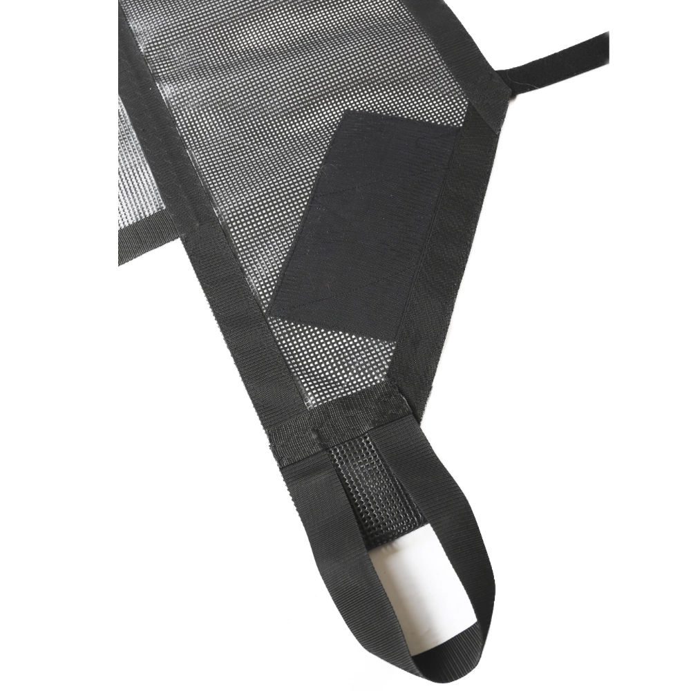 hammerhead shark carrier 5