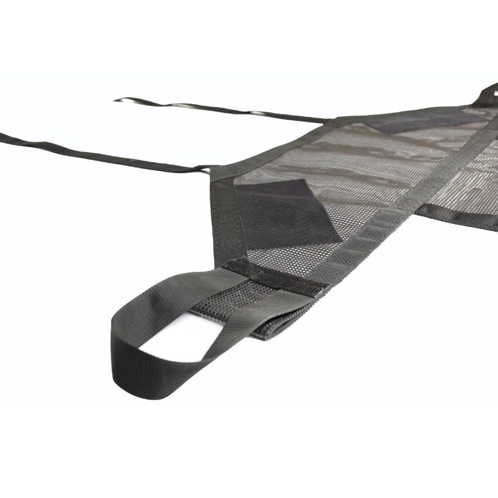hammerhead shark carrier 7