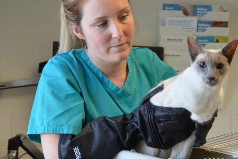 vet gloves gallery 1