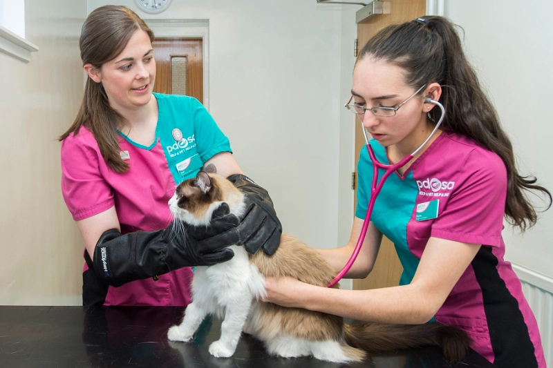 vet gloves gallery 3