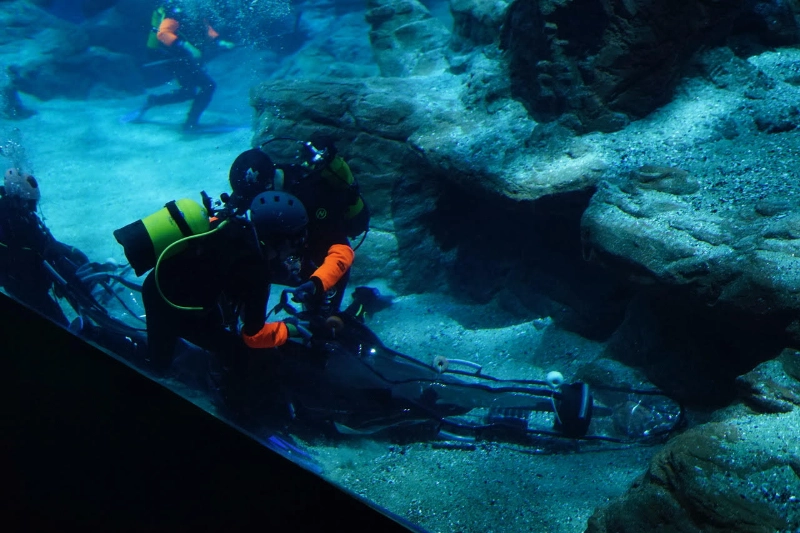 sawfish capture bag gallery 2