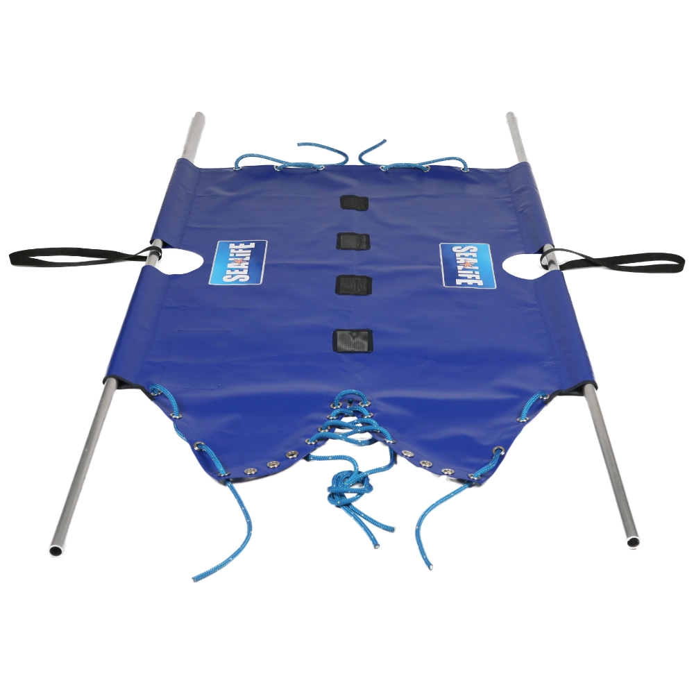 Shark Carrier 1