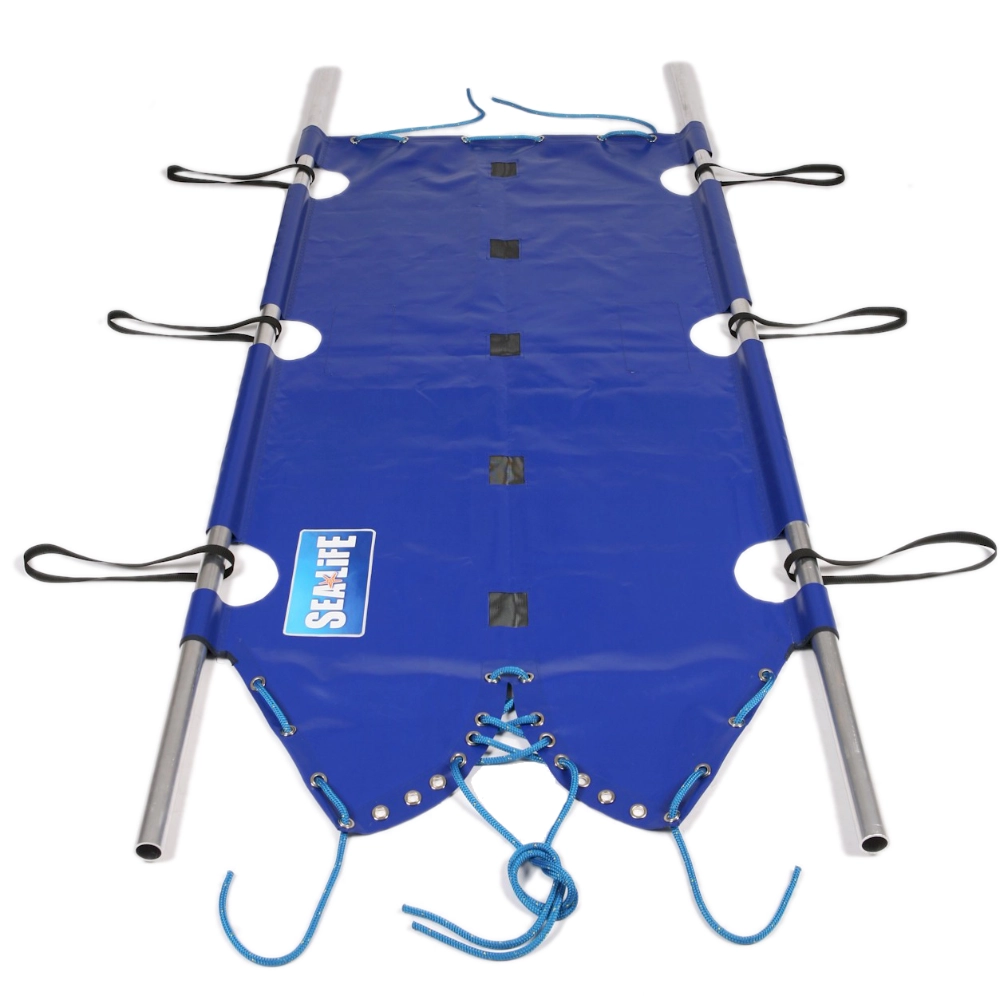 Shark Carrier 4