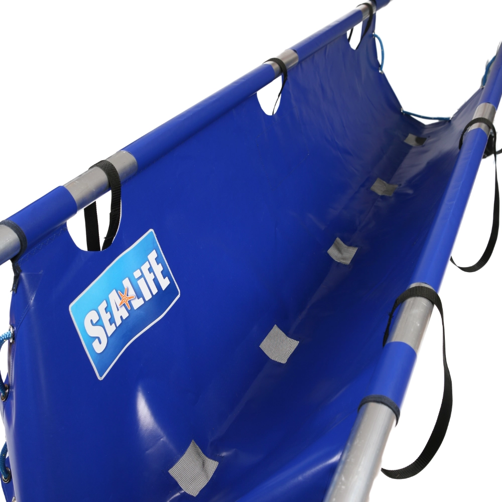 Shark Carrier 6